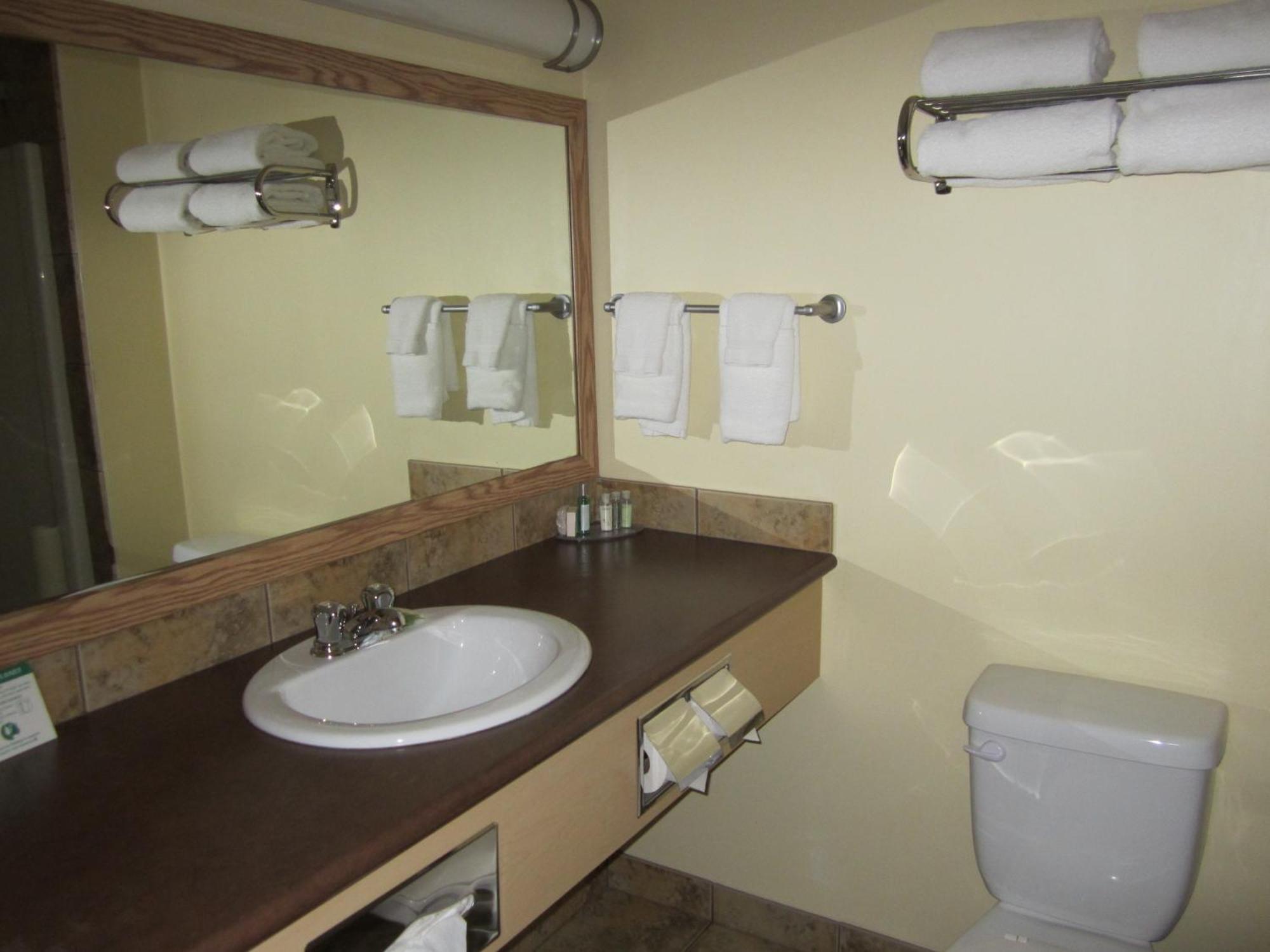 Trend Mountain Hotel & Conference Centre Tumbler Ridge Rum bild