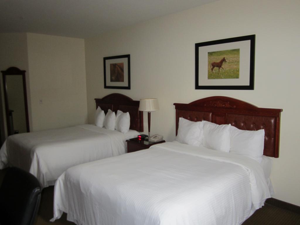 Trend Mountain Hotel & Conference Centre Tumbler Ridge Rum bild